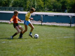 0DIA 1984 RAVA PUPS 1